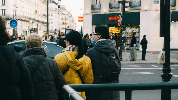 3 clefs pour un chien en pleine santé
