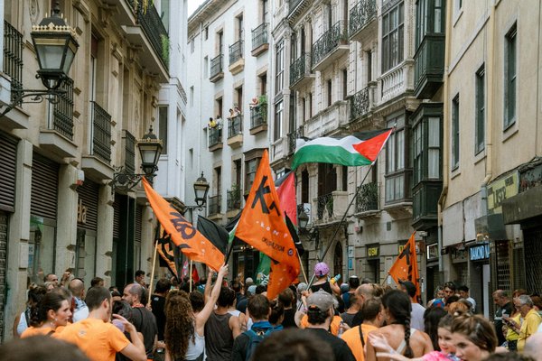 Que faire en cas d'invasion de charançons ?