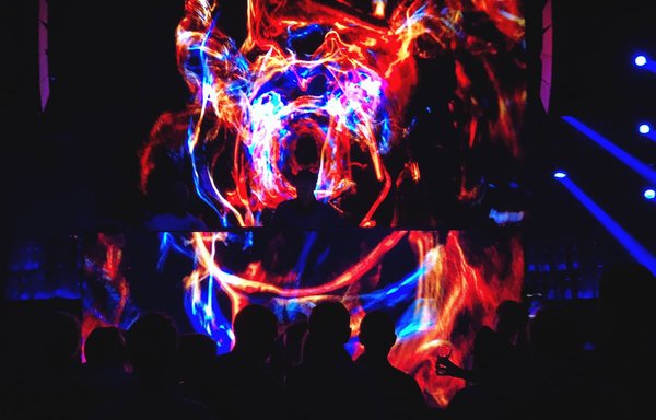 Quels sont les essentiels pour démarrer un club de photographie axé sur la nature et la faune ?